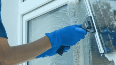 Window Cleaning Services for Sparkling Clear Views