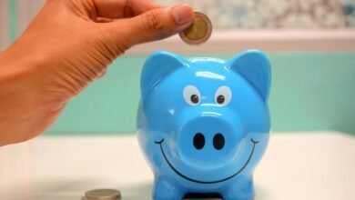 hdfc pharma investment details