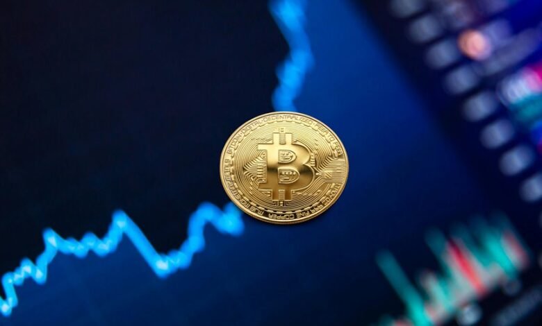 mid cap fund strategy